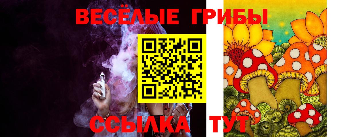 Псилоцибиновые грибы мицелий Можайск