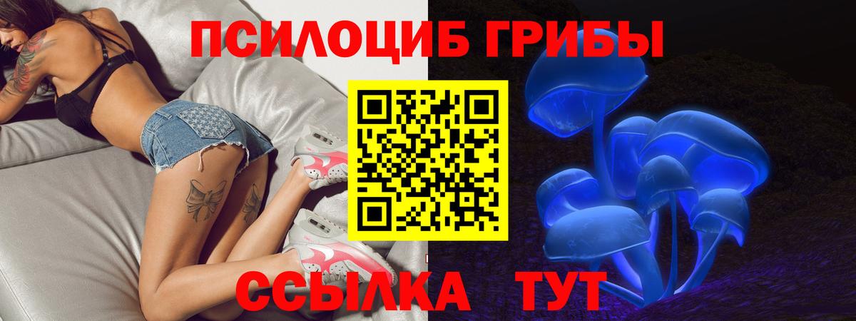 Можайск  Галлюциногенные грибы Psilocybe  Псилоцибиновые грибы MAGIC MUSHROOMS  Вход с VPN 